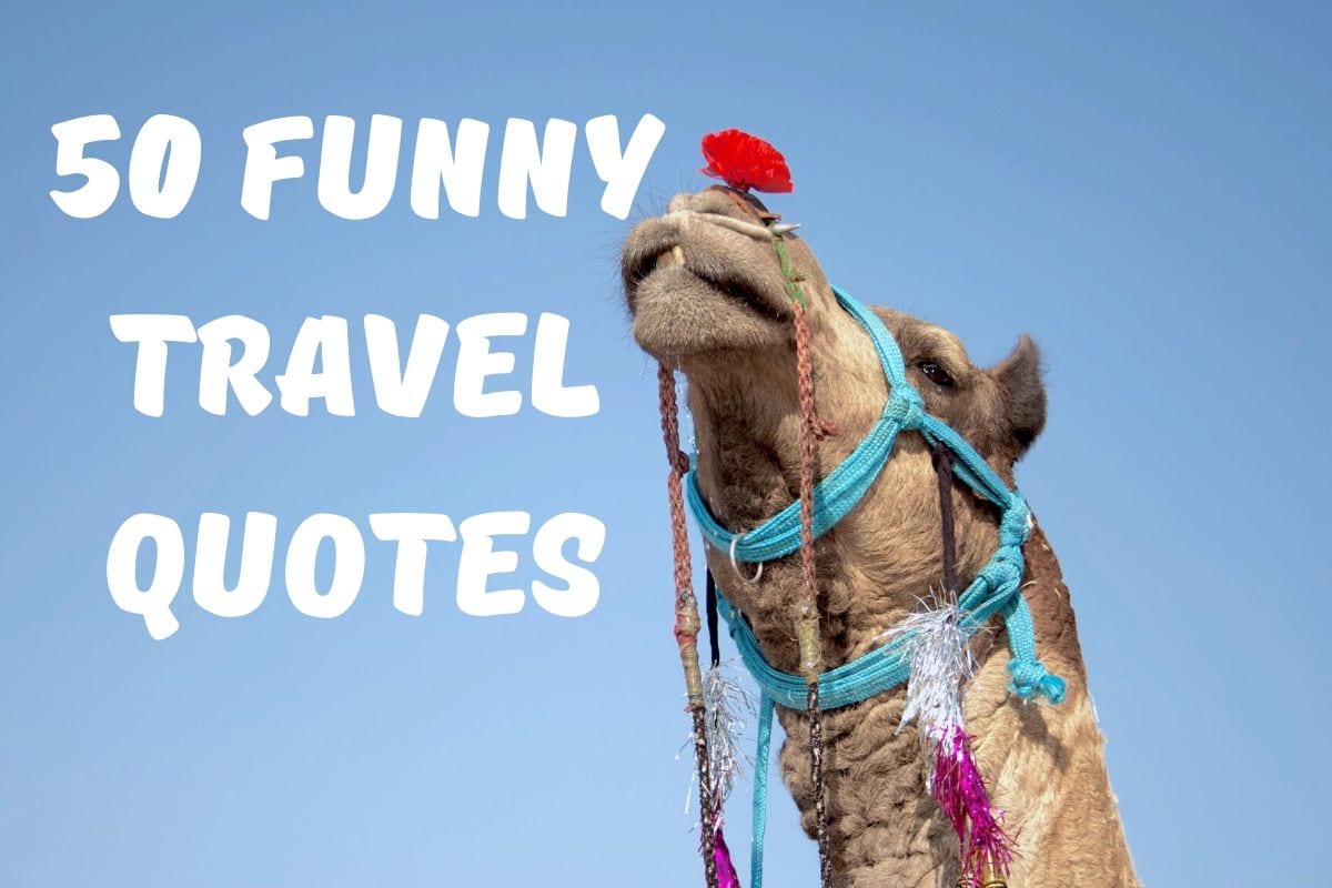 humorous travel blogs