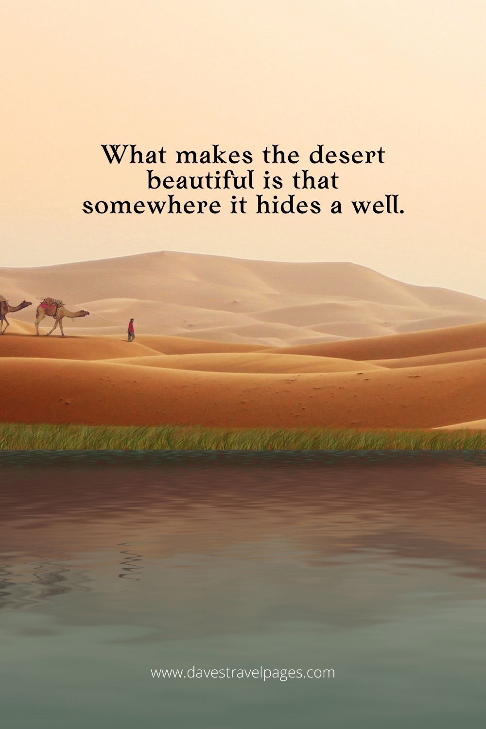 desert safari quotes