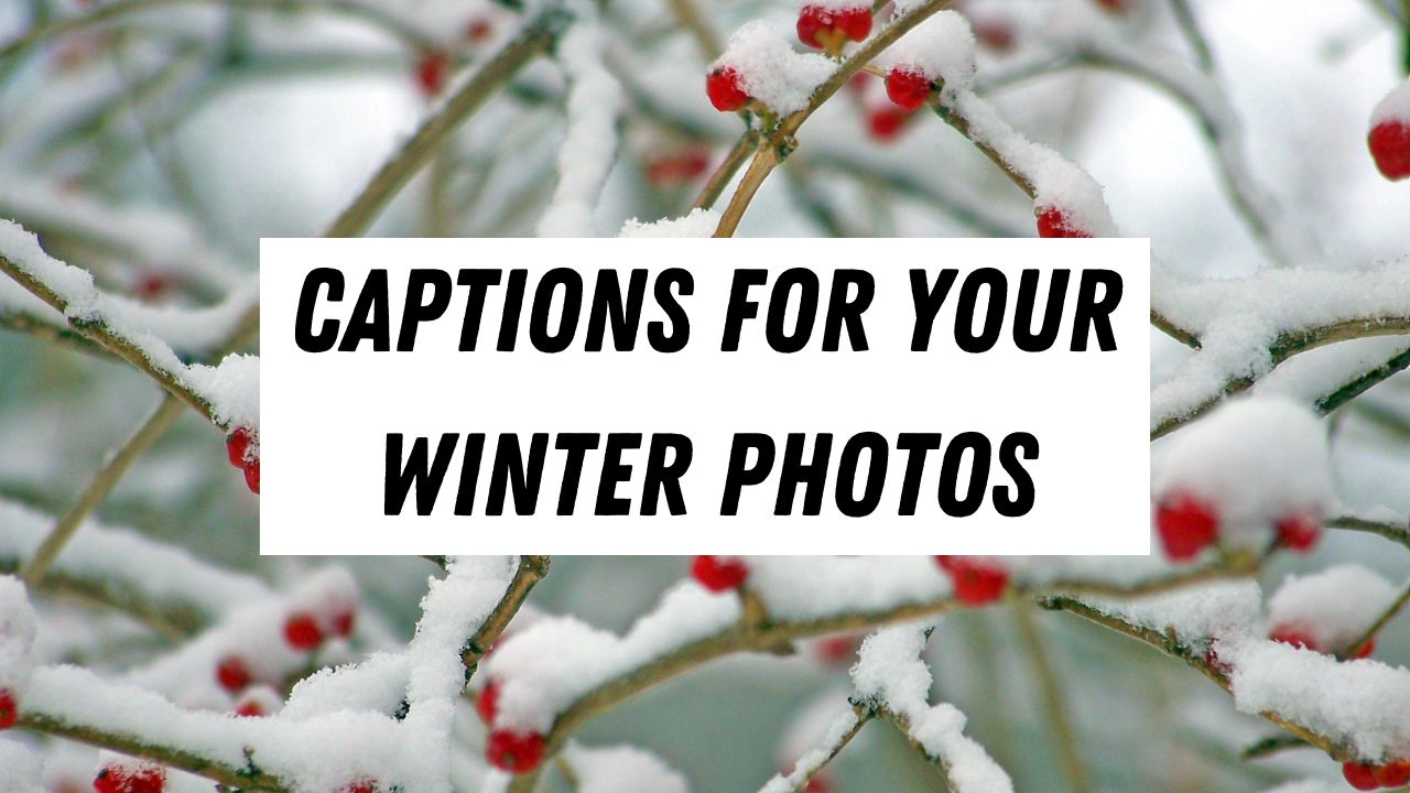 150 Cool Winter Captions For Instagram Cold Weather Photos